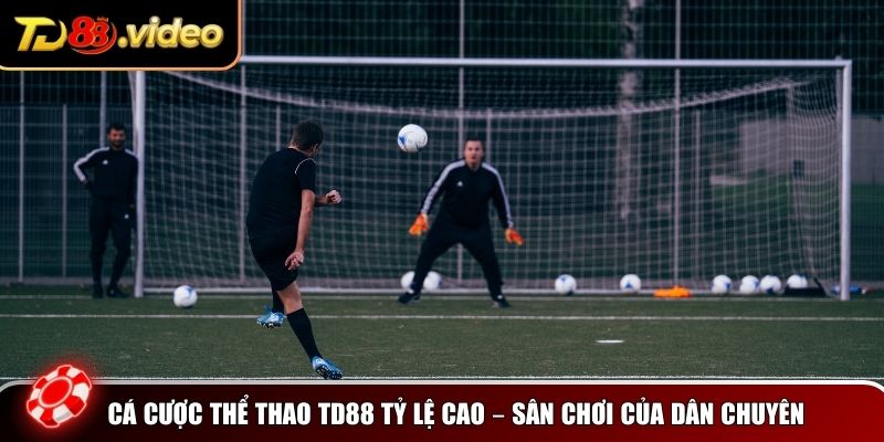 Cá cược thể thao TD88 tỷ lệ cao của dân chuyên