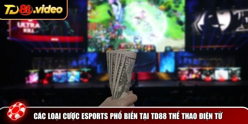 Các loại cược Esports phổ biến tại TD88 thể thao điện tử