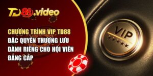 Chương Trình VIP TD88
