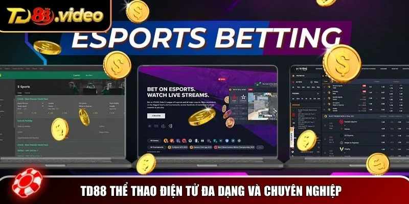 TD88 thể thao điện tử mang đến một nền tảng toàn diện và chuyên nghiệp