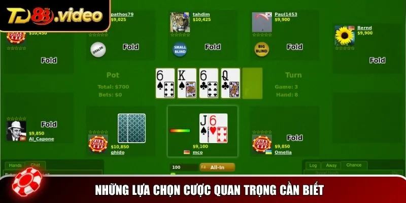 Những lựa chọn cược quan trọng cần biết