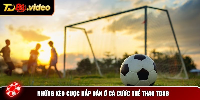 Những kèo cược hấp dẫn ở cá cược thể thao TD88