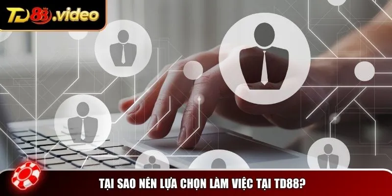 Tại sao nên lựa chọn làm việc tại TD88?