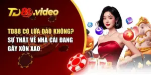 Giải Mã Tin Đồn TD88 Có Lừa Đảo Không: Sự Thật Là Gì?